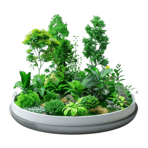 Hydroponic Gardening Equipment: