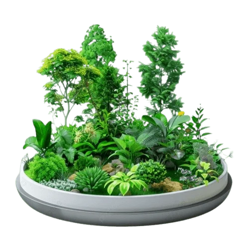 Hydroponic Gardening Equipment: